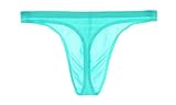 Soojun Mens Traceless Sexy Thongs Low Rise Underwear Ice Silk Briefs, Medium, Ice-Blue