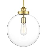 Penn Collection 1-Light Clear Glass Farmhouse