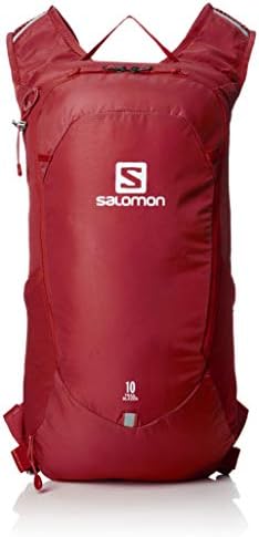 サロモン バックパック 捧呈 リュックサック Trailblazer 10 10l トレイルブレイザー