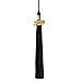 GraduationRoyal 9 inch Graduation Tassel with Gold Year Charm (Black, 2019)