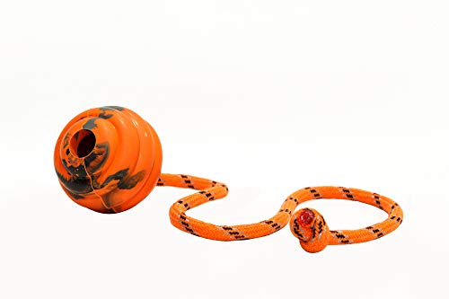 PlayfulSpirit Durable Natural Rubber Ball on a Rope - Perfect Dog Training, Exercise and Reward Tool - //medicalbooks.filipinodoctors.org