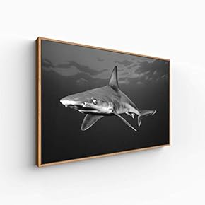 Canvas Wall Art for Living Room, Bedroom Animal Portrait Framed Canvas Prints for Home Decoration Ready to Hang - 16x24 inches