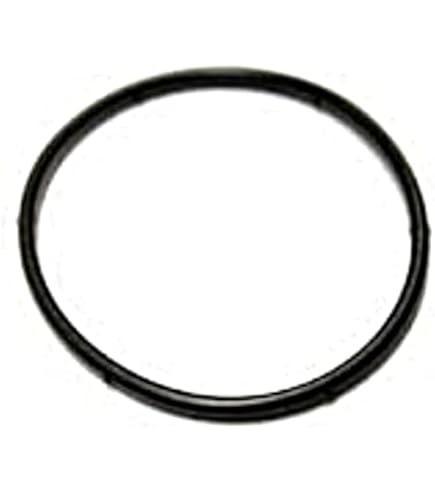 Amazon.com: KAWASAKI Genuine Parts (OEM) Ring (0.1 inches