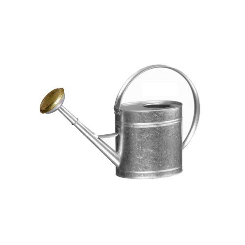 Guillouard Watering Can 4 L Galvanised Stainless Steel