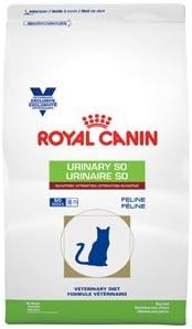 my puppy puked yellow