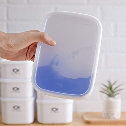 jiumoji Microwave Freezer Bento Lunch Box Picnic Food Fruit Container Lightweight Storage Box for Kids Adult (D:1400ml)