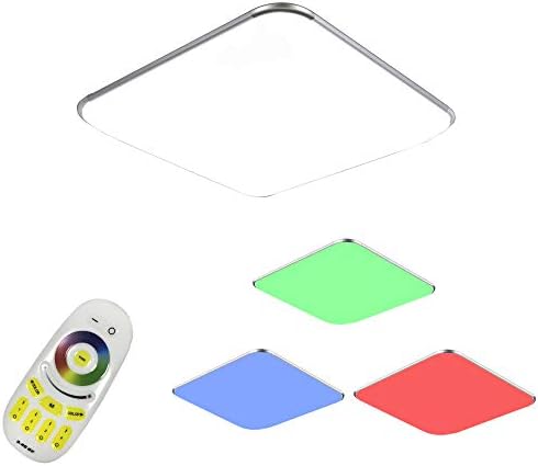 COOSNUG LED Ceiling Light 24W RGB Dimmable Ceiling Lamp Living Room Lamp Modern Ceiling Lights Kitchen Bathroom Hallway Bedroom (Silver Dimmable 3000-6500K)