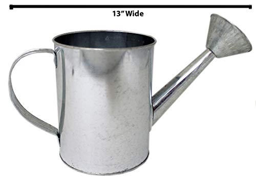 Galvanized Large Metal Watering Can with Handle