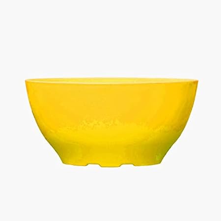 Airex Butter Cup Pots (Yellow, Size - 8.5 Inch, Pack of 1)