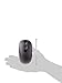 Microsoft Optical Mouse 200 for Business - Black