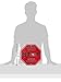 Fremont Die NFL San Francisco 49ers Team Sign, 12