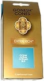 Ocean - Gonesh Incense Cones - Pack of 25