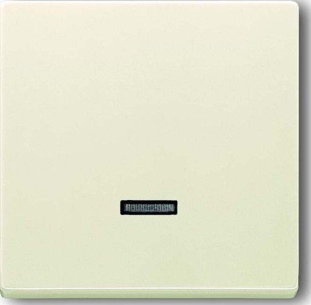 Busch-Jaeger 6543-82-101 Control Cover for Busch-Memory touch-type controller, savanne/ivory, solo carat