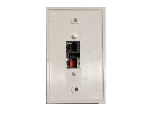Speaker Terminal Wall Plate 2 Spring Clip for Stereo Home Theater Sound System