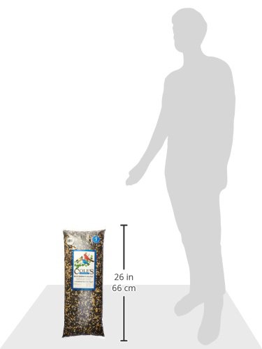 Cole's Wild Bird Products BR10 Blue Ribbon Blend, 10 Pounds