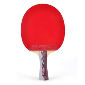 Amazon.com : DHS Table Tennis Racket #A4002, Ping Pong