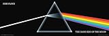 Pink Floyd - Dark Side of the Moon Poster 36 x 12in