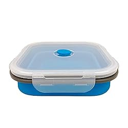 CARTINTS Large 1200ml Collapsible Bowls with Lids