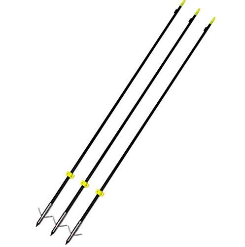 image for RuiXunTe 35'' Fishing Arrows Archery Hunting Arrows for Compound & Rec