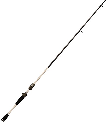 Daiwa Team S Casting Rod