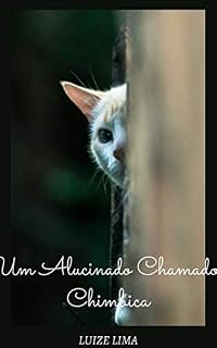 Livro Um Alucinado Chamado Chimbica