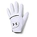 Under Armour Men's Strikeskin Tour Golf Gloves