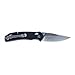 Ganzo G7531 Folding Pocket Knife 440C Stainless Steel Blade G10 Anti-Slip Handle with Clip Hunting Fishing Camping Folder Outdoor EDC Knife (Black)