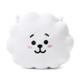 BT21 RJ Cushion 16.5 Inch White