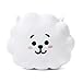 BT21 RJ Cushion 16.5 Inch White