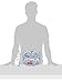 Bumkins Divided Plate, Melamine Tray Plate, Toddler, Kids, BPA Free, Stackable, Dishwasher Safe – Fire Engine