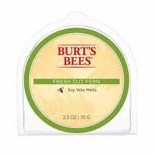 Burt's Bees Fresh Cut Fern Soy Wax Melts, 2.5 oz