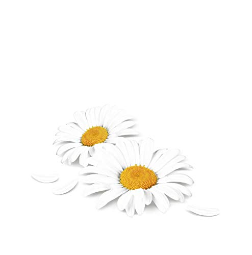 Tempo Vochtige toiletdoeken zacht & gevoelig, parfum: kamille en aloë vera, vochtige doekjes in hersluitbare comfortzak… - Afbeelding 8