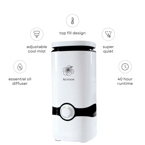 Cool Mist Humidifiers Essential Oil Top Fill Humidifier Cool - Main Image