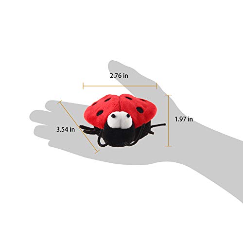 Gigwi Chirpy Beetle Sound Cat Toy, Interactive Squeaking Beetle Cat Toys Melody Chaser Play N Squeak Kitten Toy for Boredom