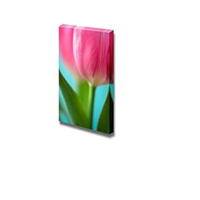 Pink Garden Tulip Close Up Wall Decor