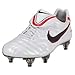 Nike Men's Revolution 2 Running Shoe