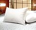 Set of Two - Standard Size White Goose Feather and Goose Down Pillows - 20 x 28-31Oz - 210 TC - Exclusively by Blowout Bedding RN# 142035
