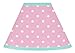 Sweet Jojo Designs Pink Polka Dot and Turquoise Skylar Baby, Childrens Lamp Shade