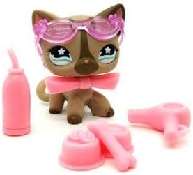 big dog apartments for rent