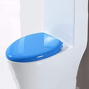 Xiaojie Toilet cover kleur toilet cover plaat universele PP board toilet cover accessoires ouderwetse verdikte cover…