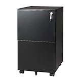 DEVAISE 2-Drawer Mobile File Cabinet with