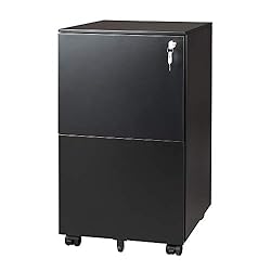 DEVAISE 2-Drawer Mobile File Cabinet with