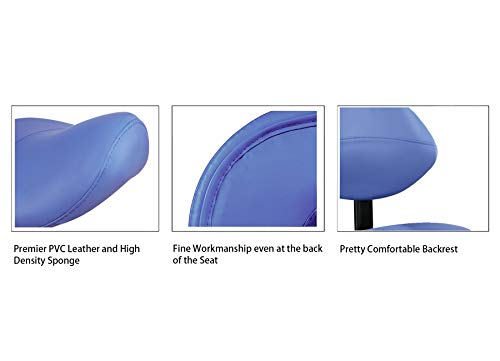 Grace & Grace Professional Saddle Stool Series Hydraulic Swivel Comfortable Ergonomic with Heavy Duty Metal Base for Clinic Dentist Spa Massage Salons Studio (With Backrest, Blue)