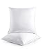 The Great American Store - Set of 2 Indoor/Outdoor 6D Pillows (28 X 28) Pillow for Decorative, Bed Pillow Shams - Fiberfill