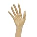 BHD BEAUTY Mannequin Hand Display Jewelry Bracelet Necklace Ring Glove Stand Holder 14