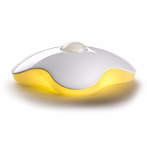 Darius LED Night Light Motion Sensor Light Human Body Induction Lamp USB Rechargeable for Hallway, Pathway, Co