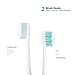 AMTOK Electric Toothbrush Sonicare Electronic Toothbrushes Sonic Rechargeable Toothbrush IPX7 Waterproof Toothbrush with Replacement Toothbrush Heads ( 5 Brushing Modes) White