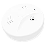 icemoon Hidden Camera Full HD 1080P Home Security Spy Camera Detector Loop Video Recorder