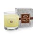 Trapp - Orange Clove Seasonal Large 7oz Poured Candle