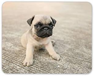 Amazon Co Jp 小さなパグ子犬マウスマットパッド 犬 かわいい子犬 赤ちゃん 子供 コンピューターギフト Hb5874 300 250 3 Mm パソコン 周辺機器